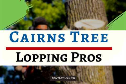 Cairns Tree Lopping Pros