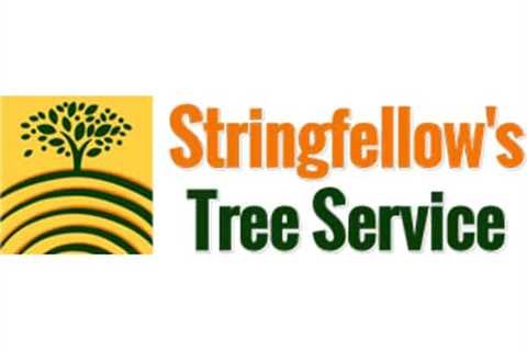 Stringfellow's Tree Service Now Published on TreeCareHQ Tree Removal Company Directory