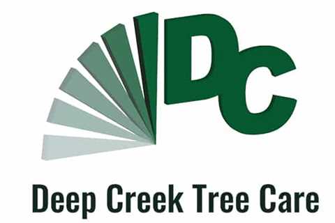 Deep Creek Tree Care of Chesapeake Now Listed in the Tree Care HQ Arborist Directory