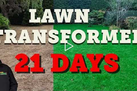 WORST lawn yet gets TRANSFORMED in a lawn reset