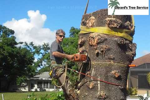 Gerard's Tree Service