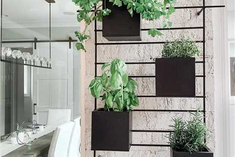 10 Herb Garden Ideas