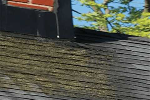 Residential Roofing Services in Rochester NY