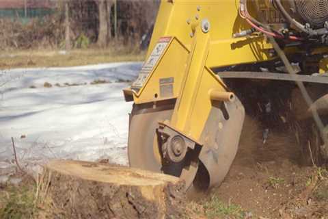 How to bid stump grinding jobs?