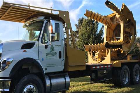 What is the largest tree shovel?