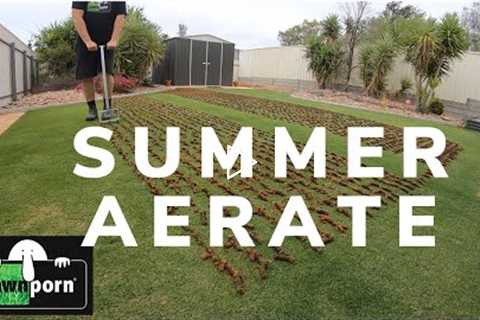 Summer Aerate