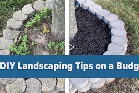 5 DIY Landscaping Tips on a Budget