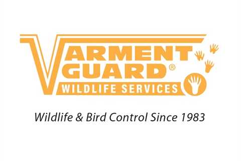Varment Guard Wildlife Services - Pest Control, USA - TRUEen