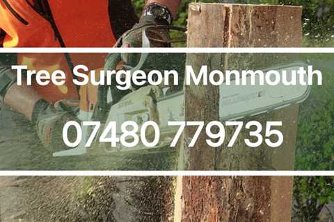 Tree Surgeon Aberfan