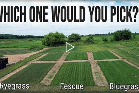 Which GRASS TYPE Is BEST For You And Your Lawn??