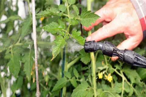 Is organic pest control effective?