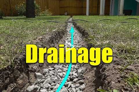 Lawn Drainage fixes - French Drains