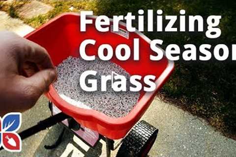 How to Fertilize Cool Season Grass - Lawn Care Tips | DoMyOwn.com