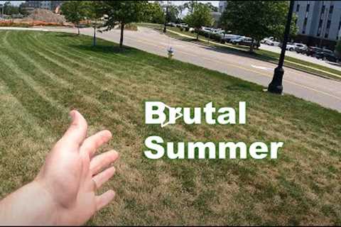 Cool Season Summer Lawn Tips | Crabgrass and Summer Fertilizer