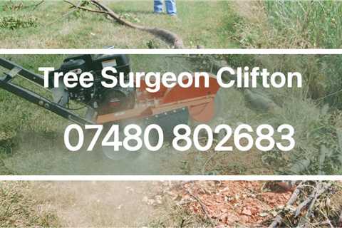 Tree Surgeon Iron Acton