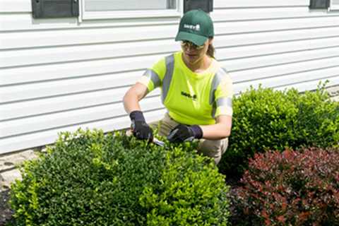 EPS Landscaping & Tree Service LLC