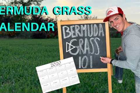 Bermudagrass Calendar - Bermuda Lawn Maintenance for Beginners