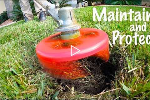 Lawn Sprinkler Head Maintenance You Have Not Considered // Lawn Donut Trimming and TOOLS