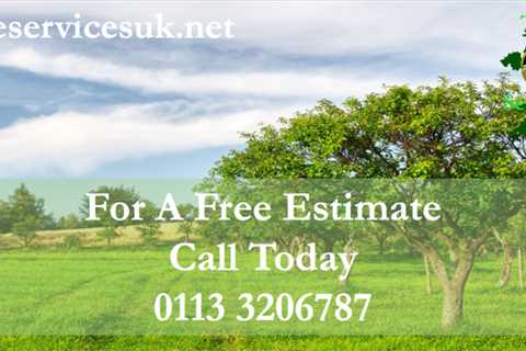 Moorside Tree Surgeon Commercial And Residential Tree Trimming And Removal Services