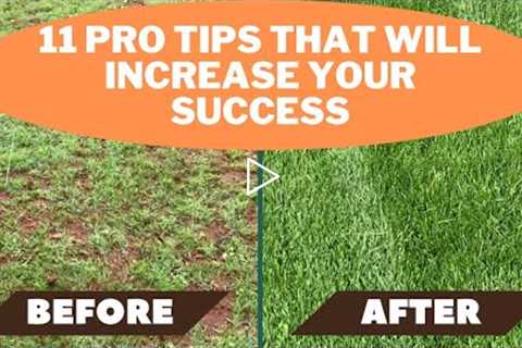 Overseeding Lawn   11 tips that will ensure your success