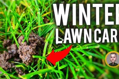 November Winter Lawn Care Tips
