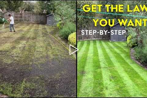 How to FIX an UGLY Lawn | Step by Step for Beginners EASY Lawn Renovation