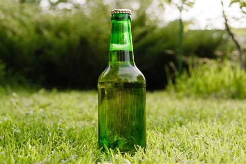 Can You Really Fertilize Your Lawn with Beer?