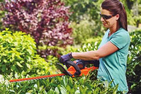 How to Quote Hedge Trimming