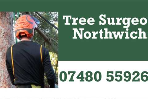 Tree Surgeon Alsager