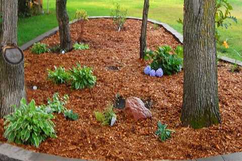 When to mulch your garden?