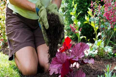 What plants should not be mulched?