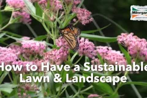 Tips to Have a Sustainable Lawn and Landscape