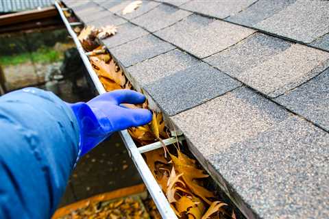 Gutter Cleaning - Suggestions to For Successful Gutter Cleaning - Curvemag Digital