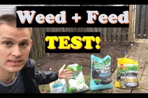Weed and Feed Before and After PROOF!  |  Best Time to Overseed (LAWN CARE)