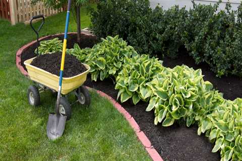 Can you mulch your garden?