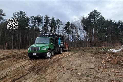 Tree Removal Service of Tree Care Services Company in Beverly MA Gets Another Five Star Review