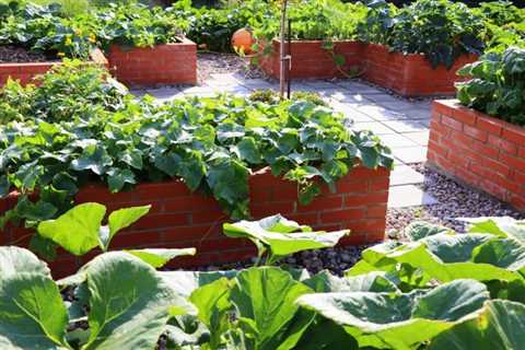 What To Know To Start a Community Garden
