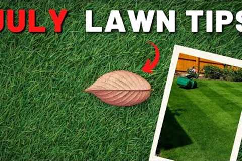 July DIY Lawn Care Calender // Fertilize, Weeds & Mow