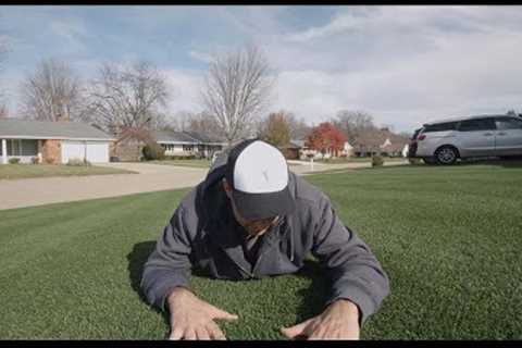 Lawn Care Last Steps For Fall