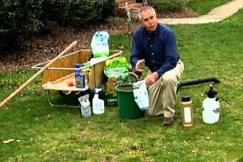 Spring Lawn Care in Virginia