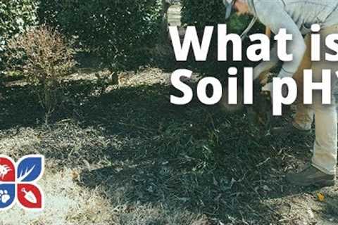 What is Soil pH? | Lawn Care Maintenance Tips | DoMyOwn.com