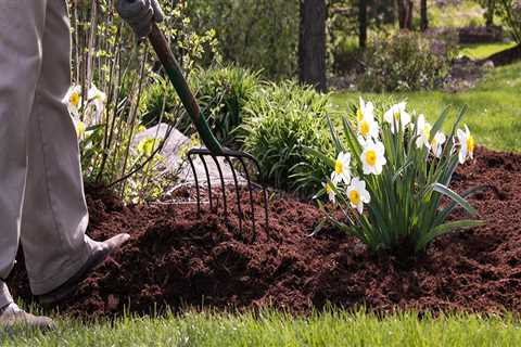 When to do spring yard clean up?