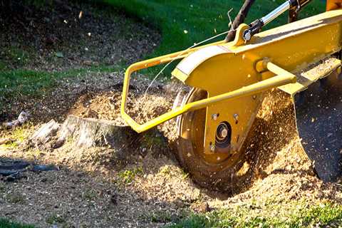 How much does it cost to pull out a tree stump?