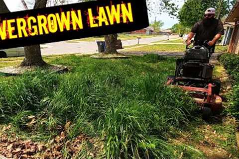do I even know how to cut grass? - mowing tall grass in the spring