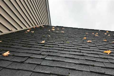 Does roof moss die in winter?