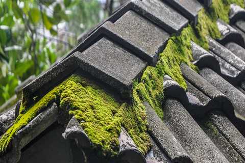 Will vinegar kill moss on a roof?