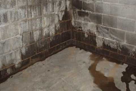 Does leaking basement affect appraisal?