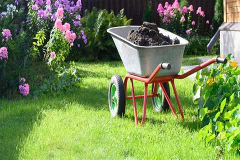 Is it too late to put fertilizer on your lawn?