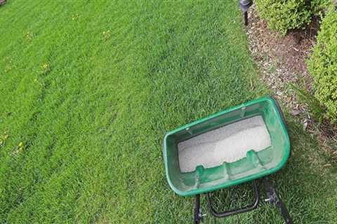 When should you not put fertilizer on your lawn?