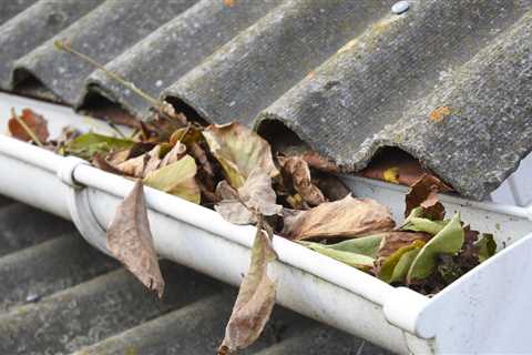 Seasonal Gutter Cleaning